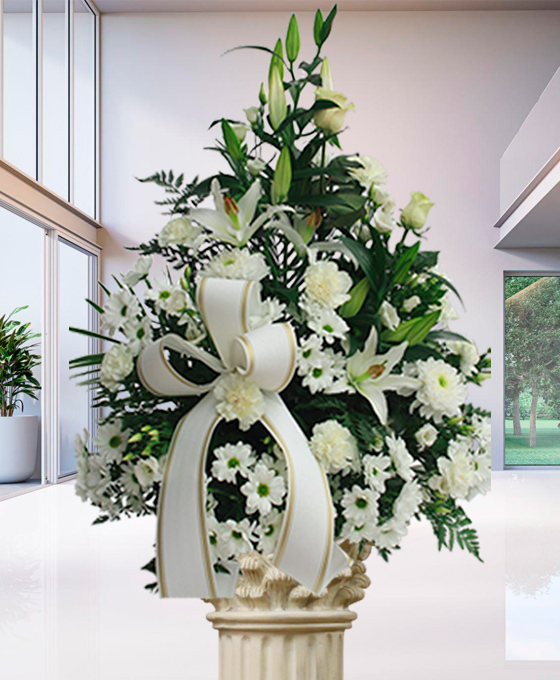 Centro Funerario Extra Blanco