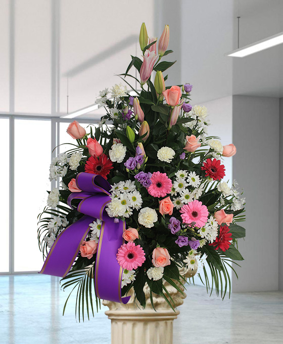 Centro Funerario Rosa